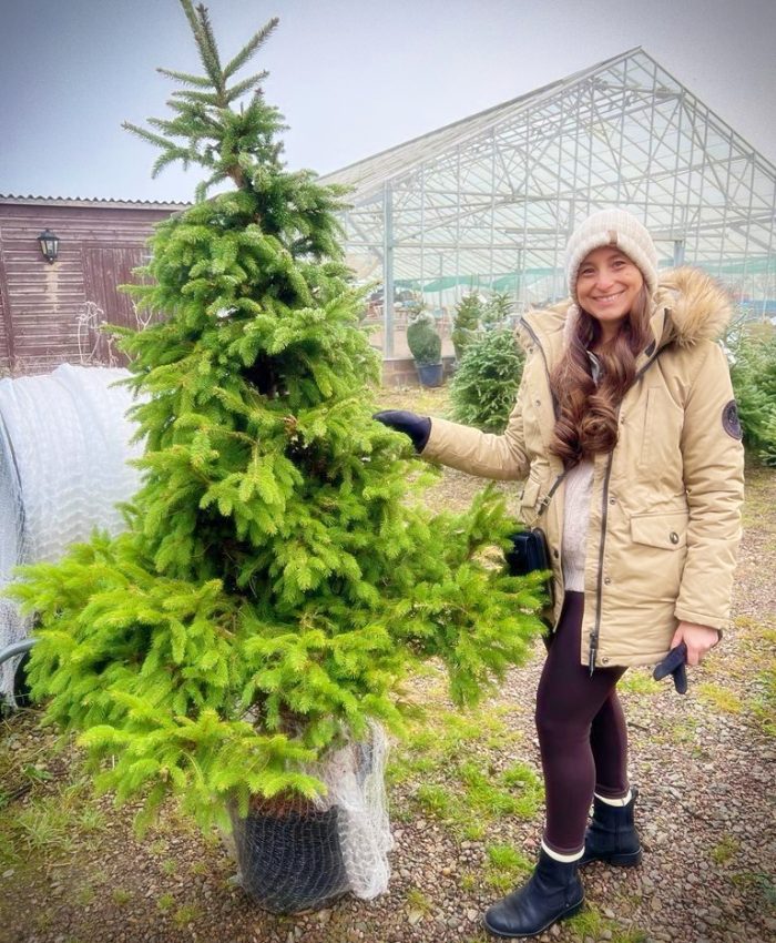 CLAINES COUNCILLOR BACKS UNIQUE CHRISTMAS ‘RENT-A-TREE’ BUSINESS