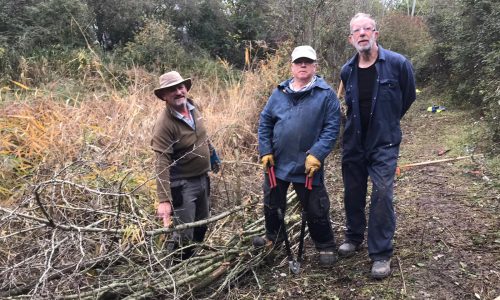 JOHNS BLOG: The Offerton Lane Nature Reserve