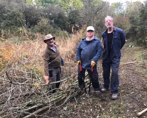 JOHNS BLOG: The Offerton Lane Nature Reserve