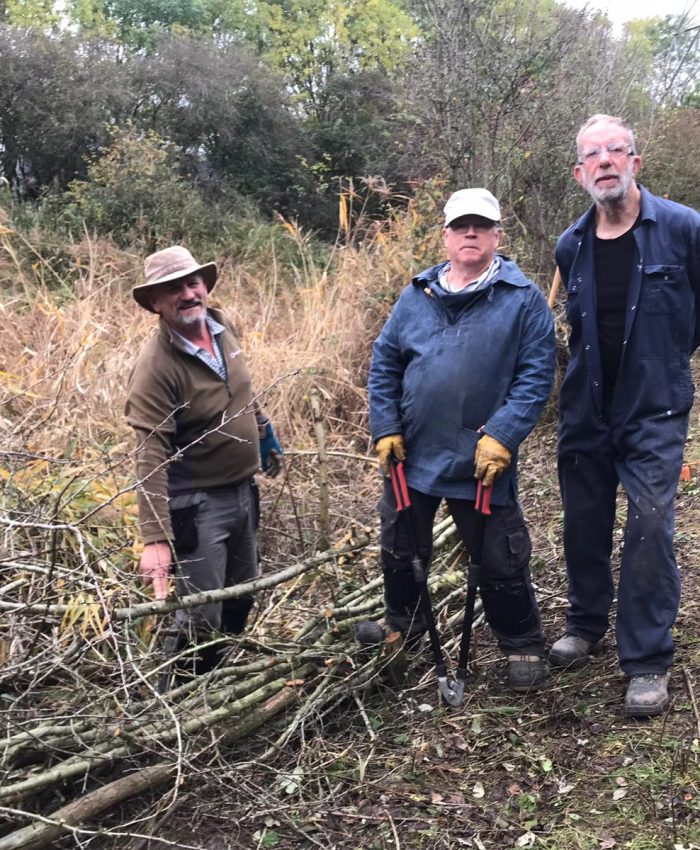 JOHNS BLOG: The Offerton Lane Nature Reserve