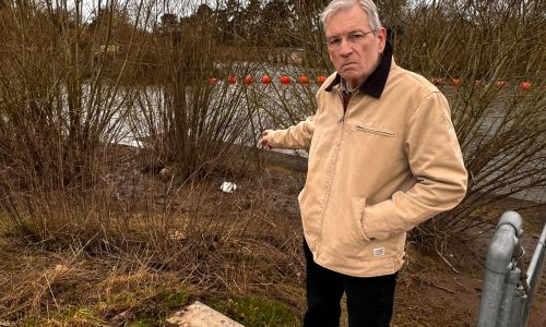 Marson and Allcott Urge DEFRA to Act Swiftly on Worcester Swans Bird Flu Outbreak