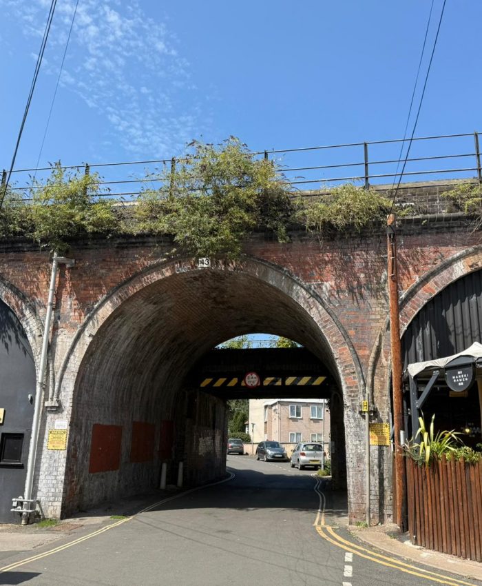 Campaigner Raises Safety Concerns on Cherry Tree Walk and Infirmary Walk