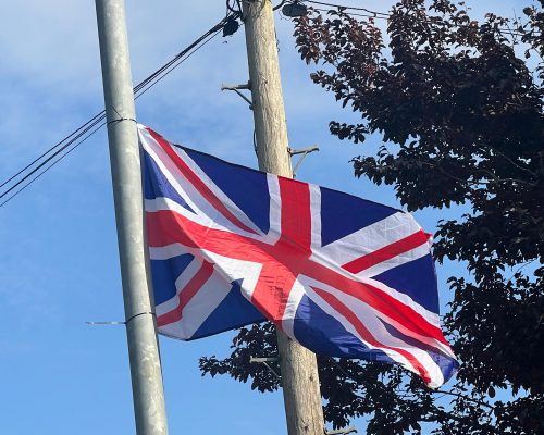 ‘Patriots’ Don’t Know Which Way Is Up