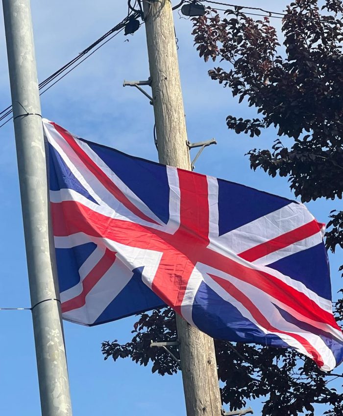 ‘Patriots’ Don’t Know Which Way Is Up